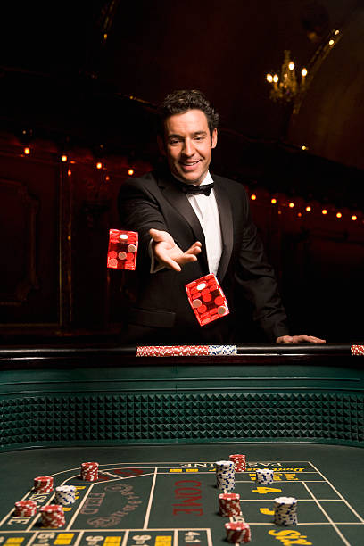 Betting layout and positions Dragon Tiger betting layout with Dragon, Tiger, and Tie positions